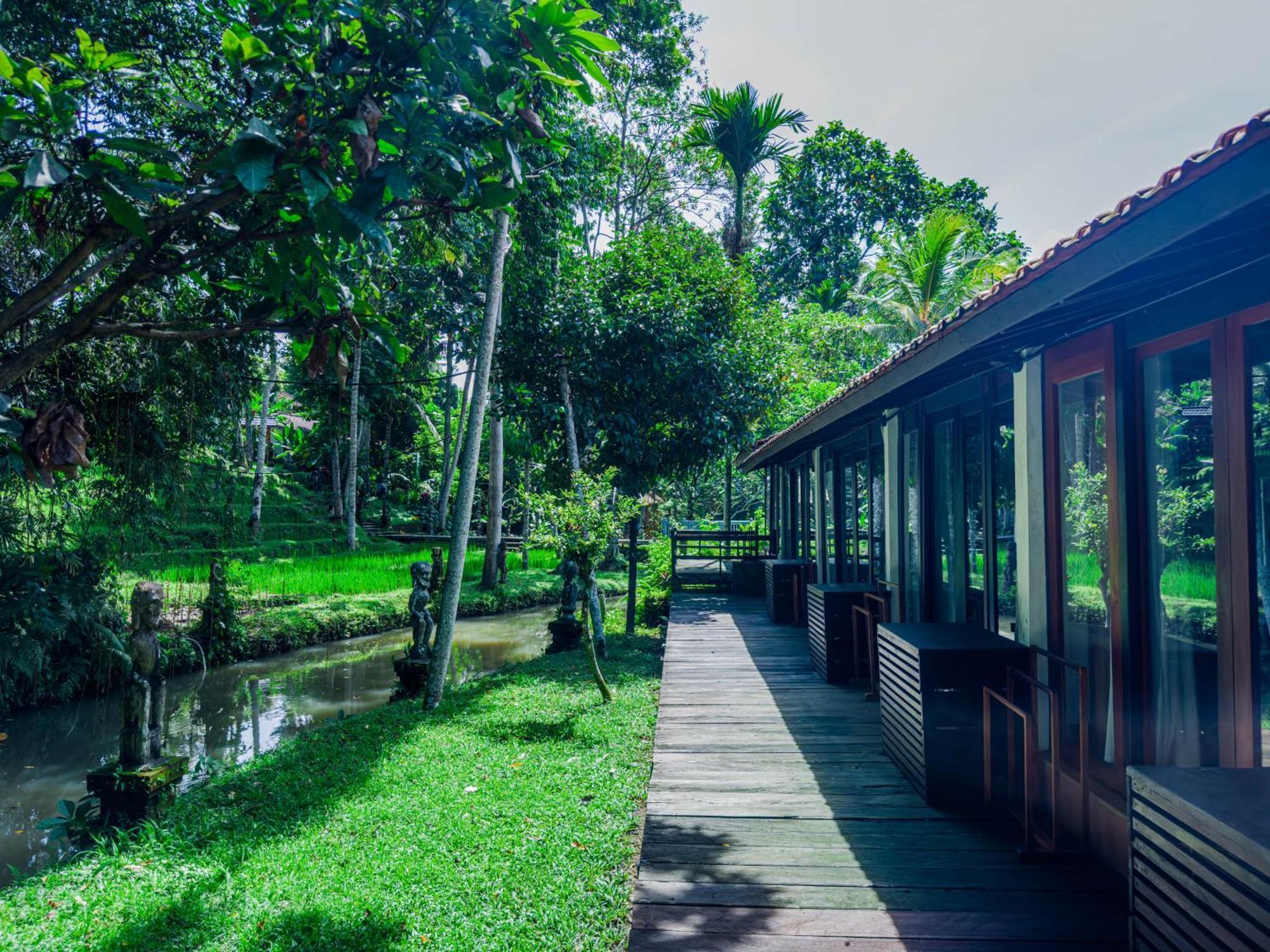 Ubud Sari Health Resort Екстер'єр фото